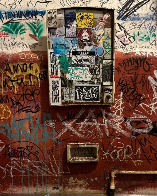Zompantli en el baño (referencia a Rafael Cauduro).
#realabstract #realabstraction #realabstracto #ciudaddemexico #centrohistoricocdmx #rafaelcauduro