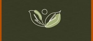 Alimentos funcionales